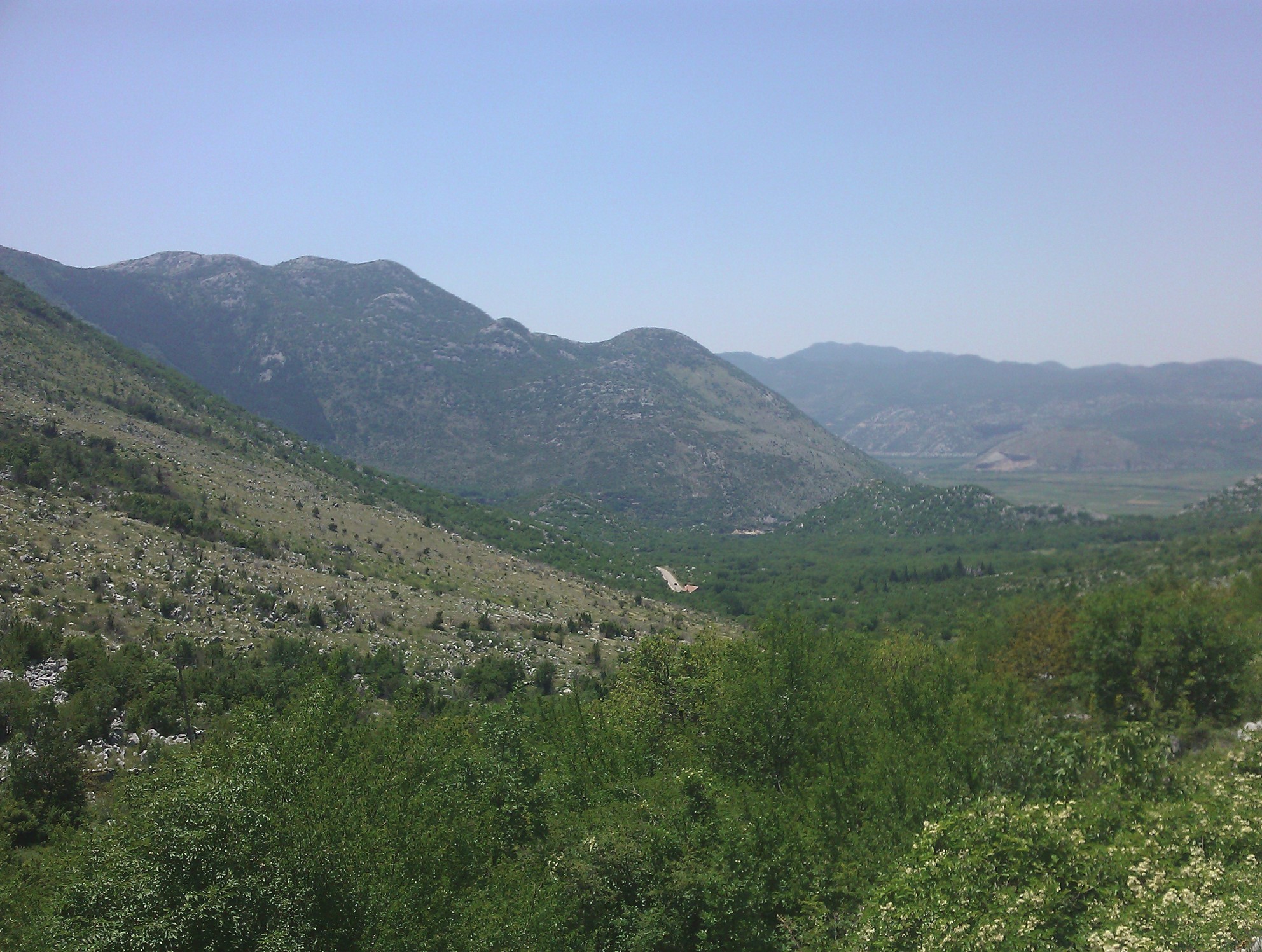 Hardly any trees to provide shade