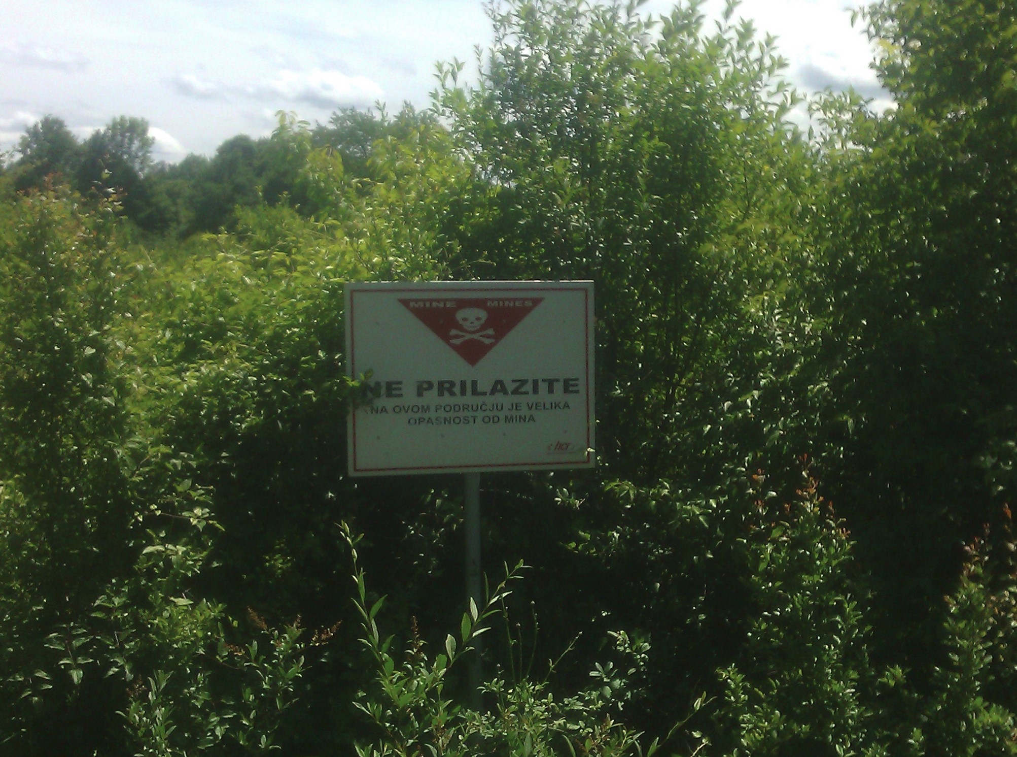 mine-field.jpg