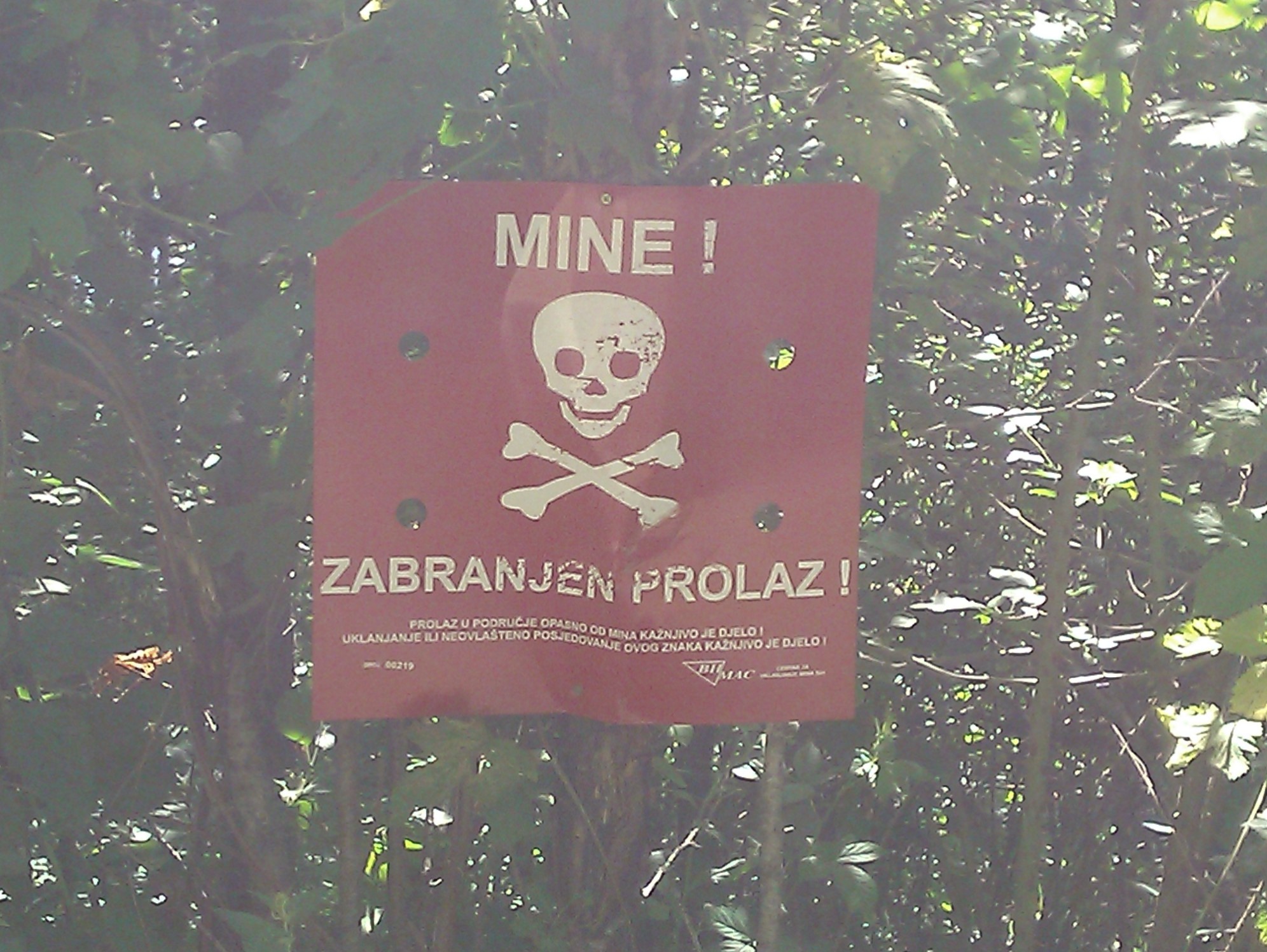 mine-field2.jpg