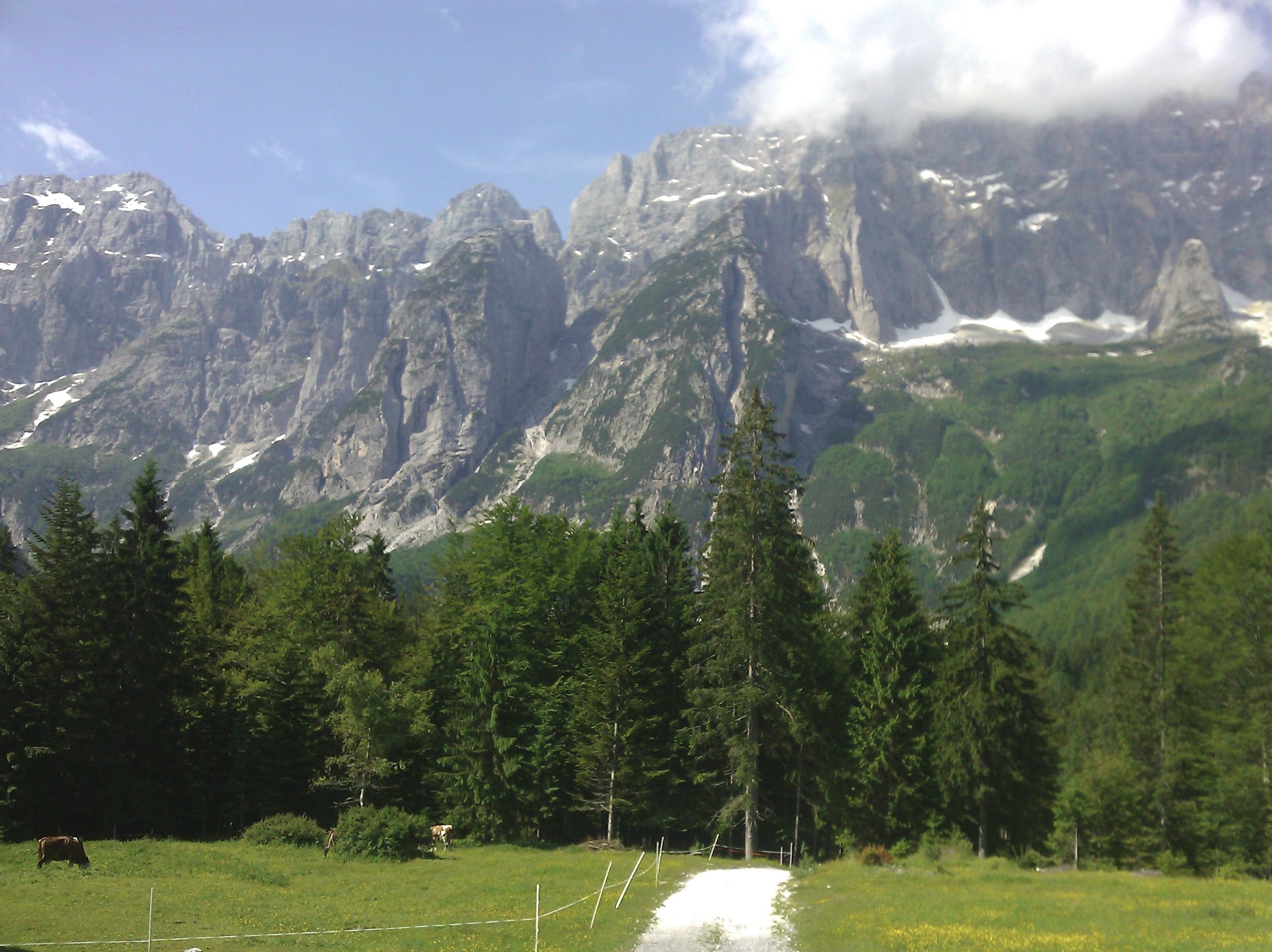 mountain-1.jpg