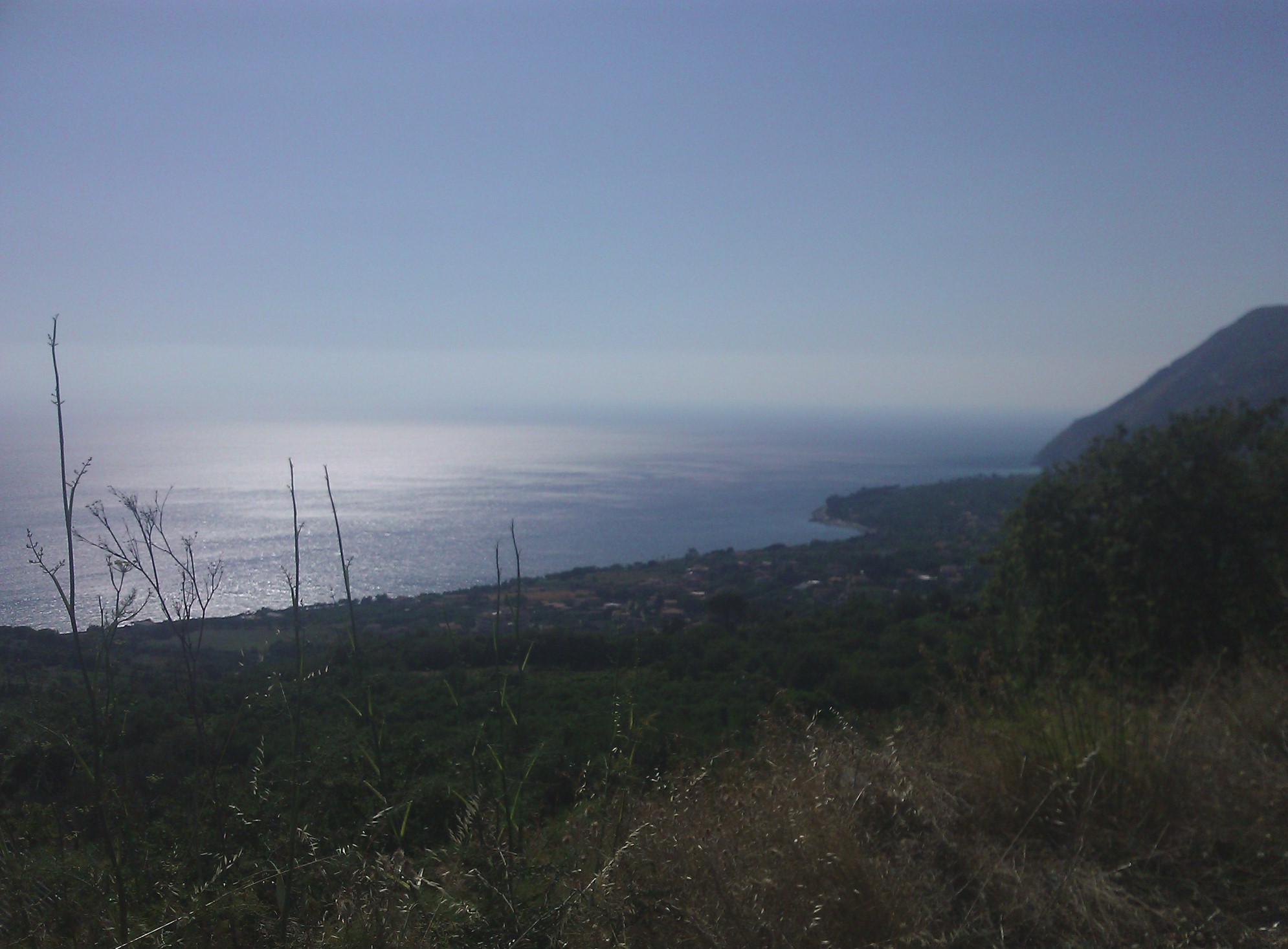 nicotera.jpg