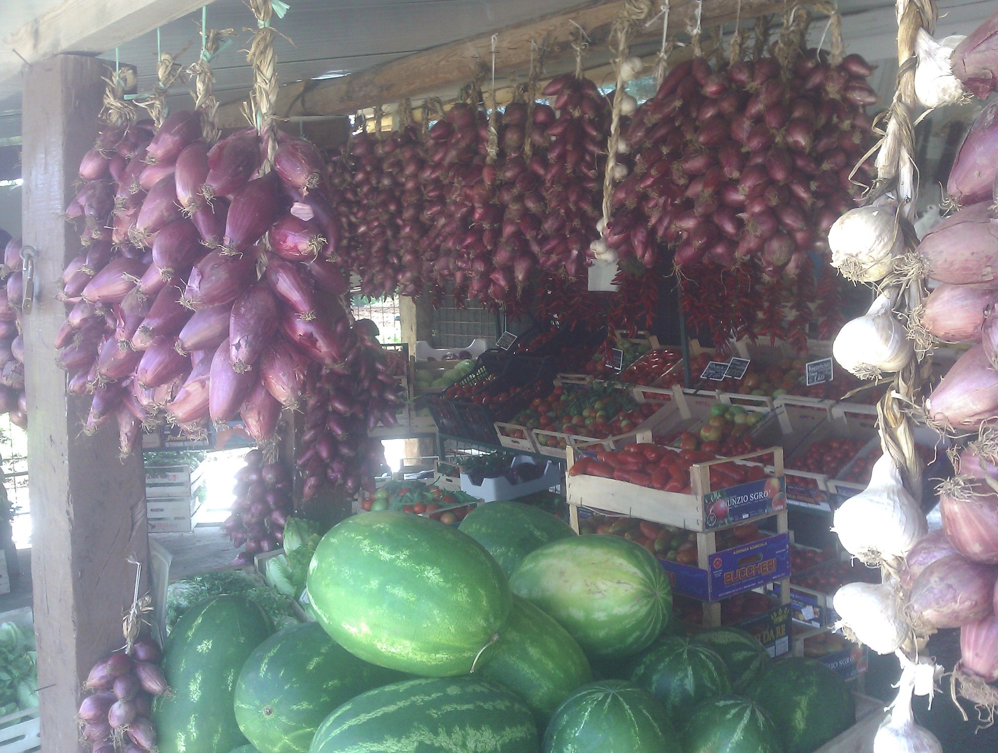 onions.jpg
