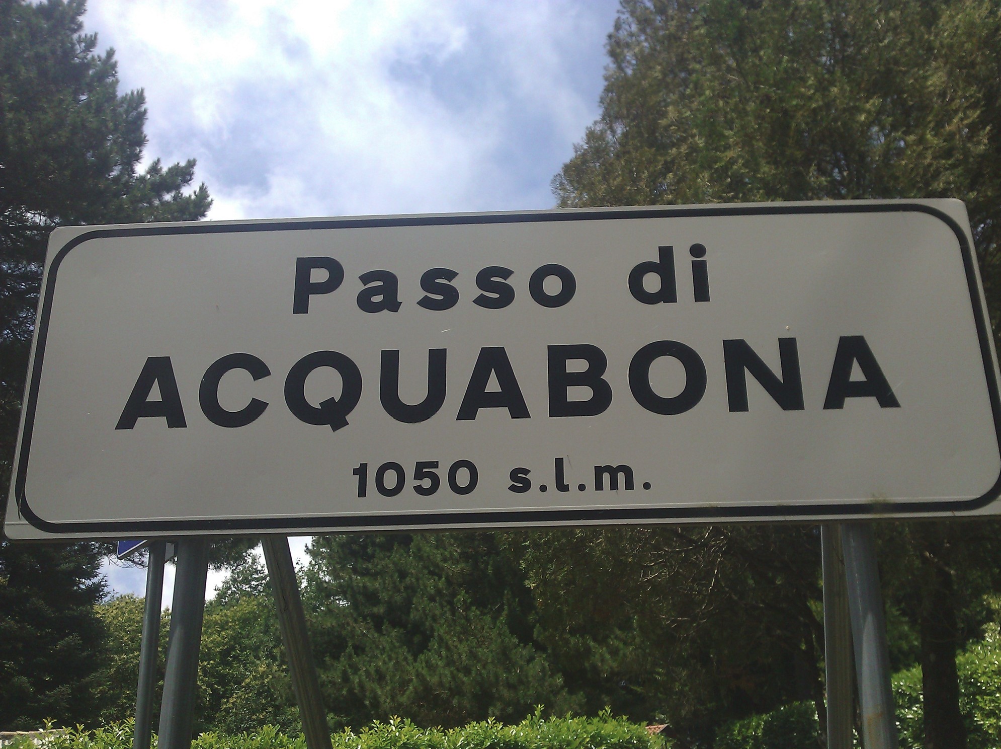 pass1.jpg