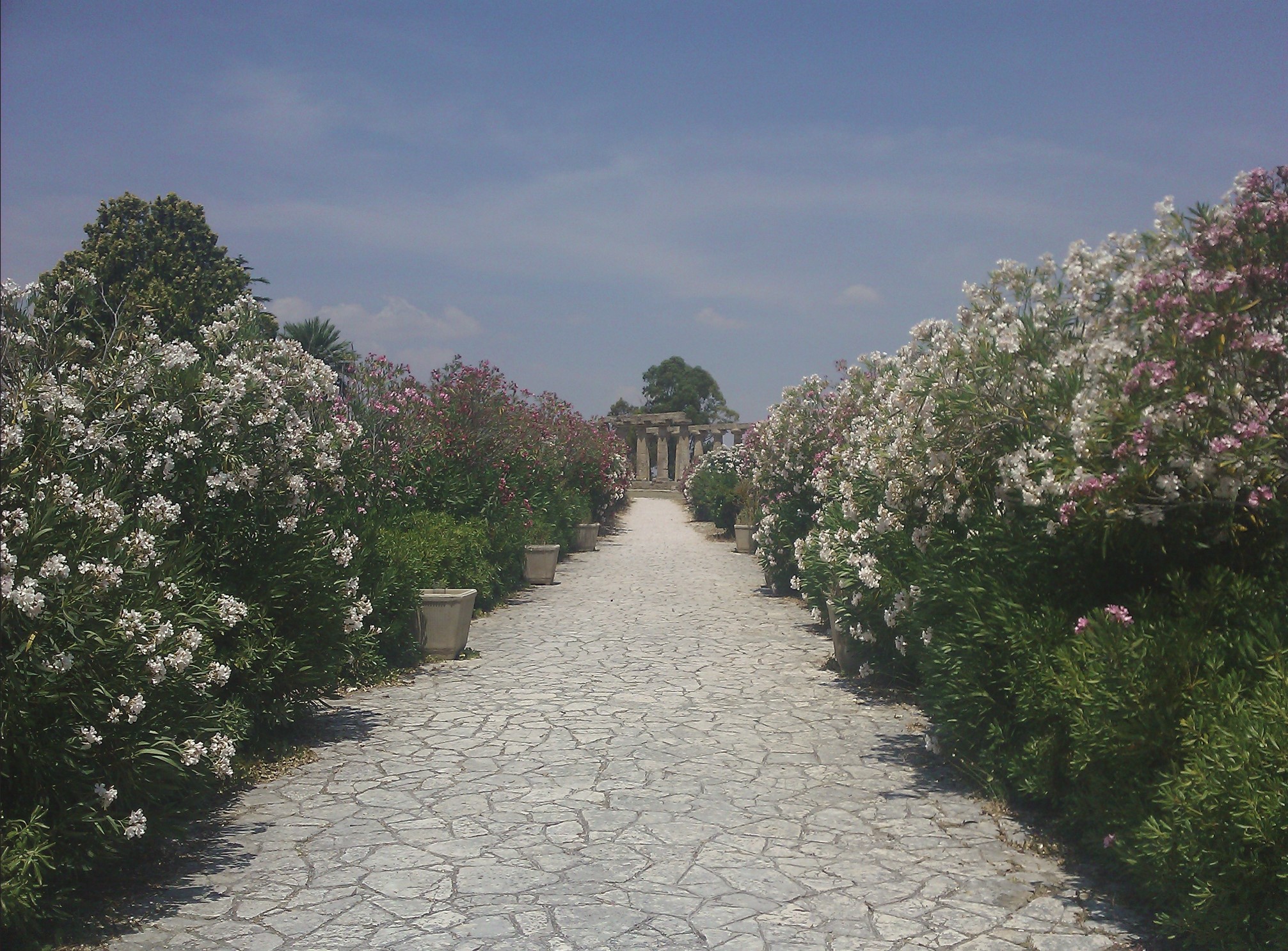 ruins2.jpg
