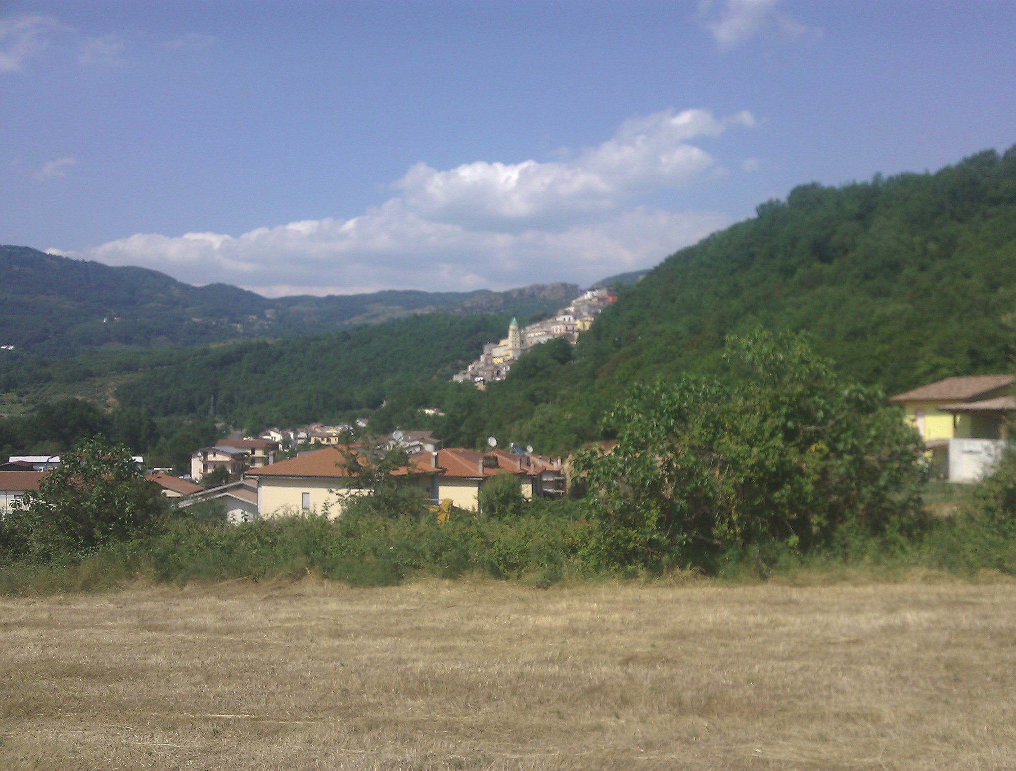 views4.jpg