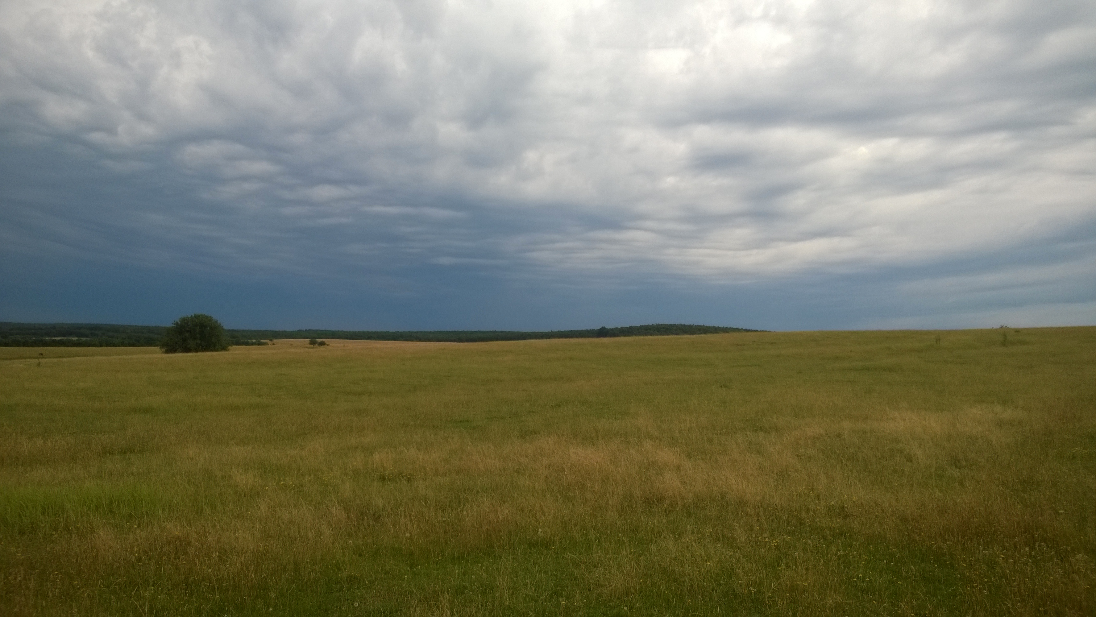 wp_20160715_082