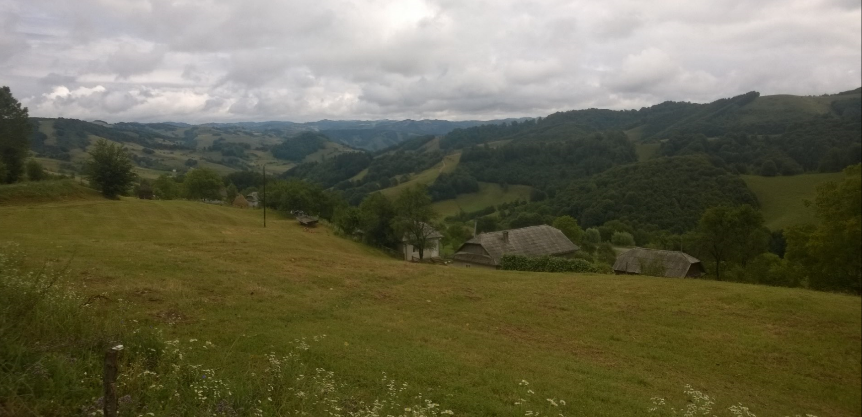 Countryside.PNG