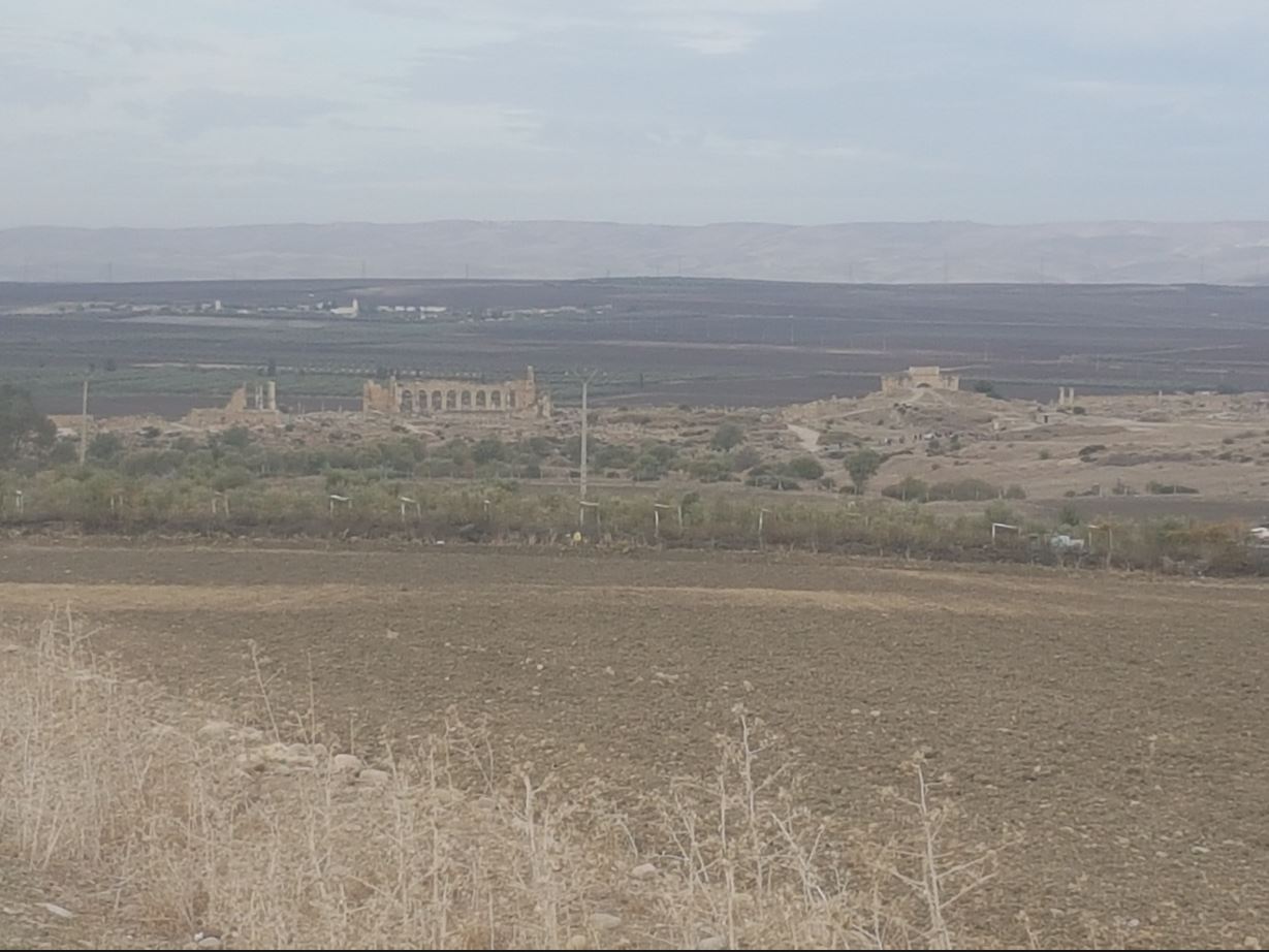 Volubilis.JPG