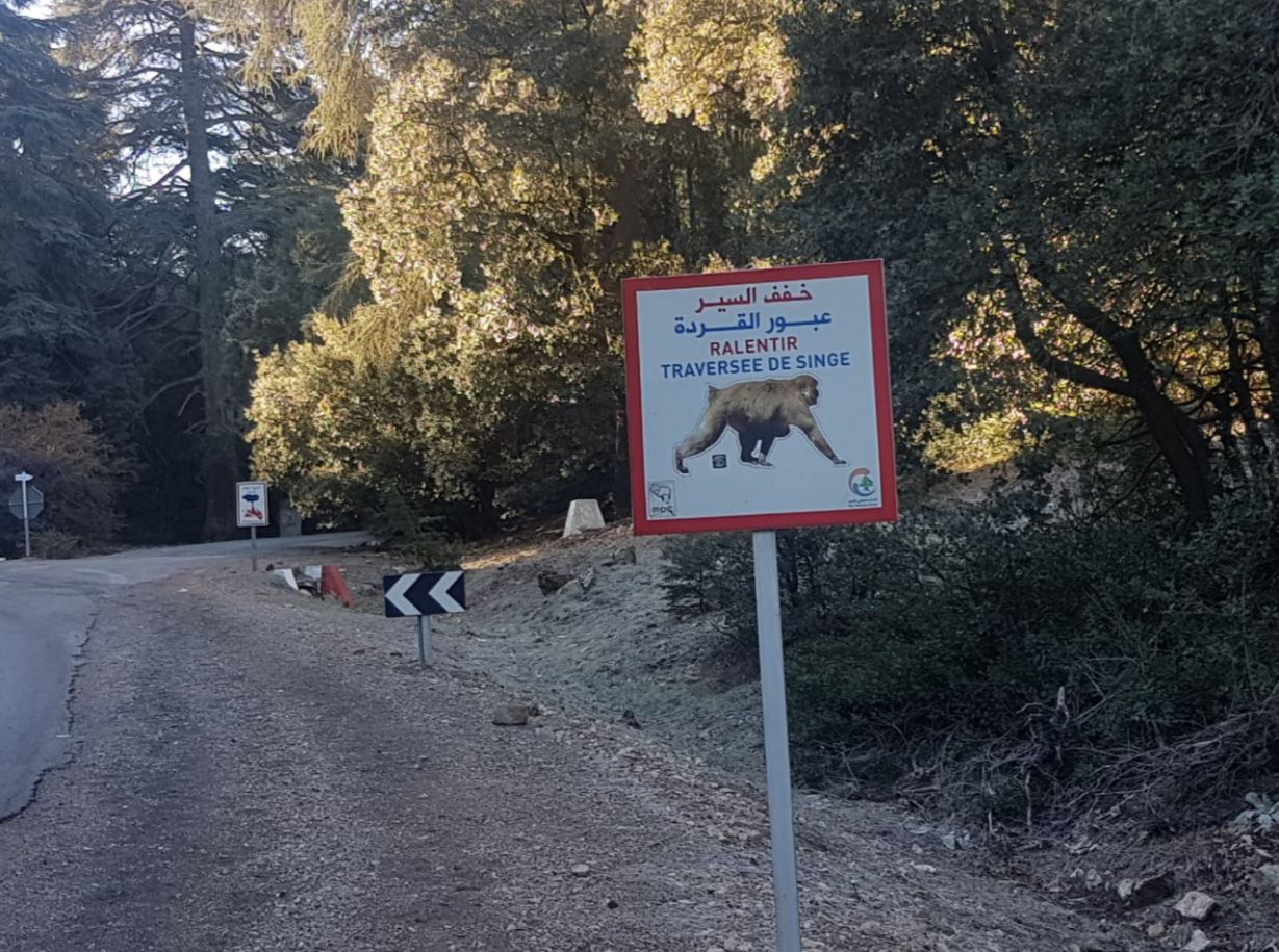 Sign.JPG