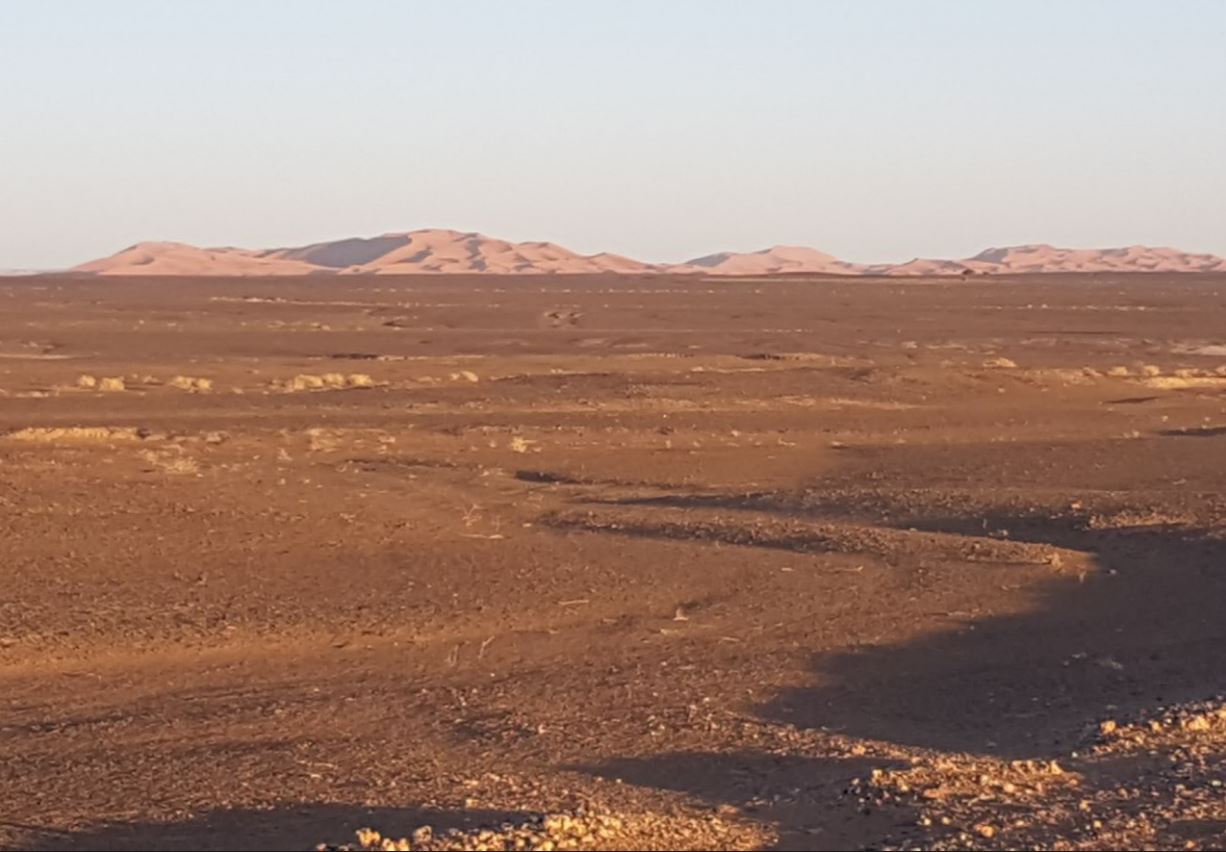 Real Sahara.JPG