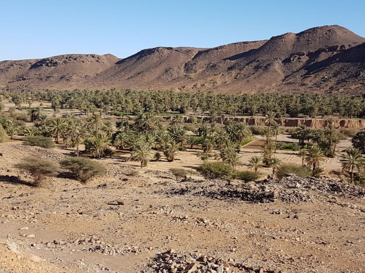 Landscape4