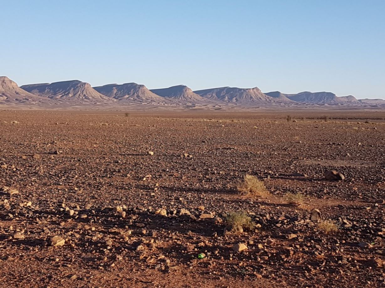 Landscape5