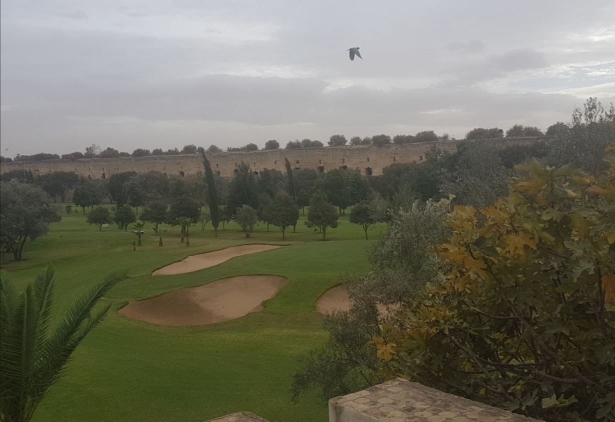 Golf.JPG