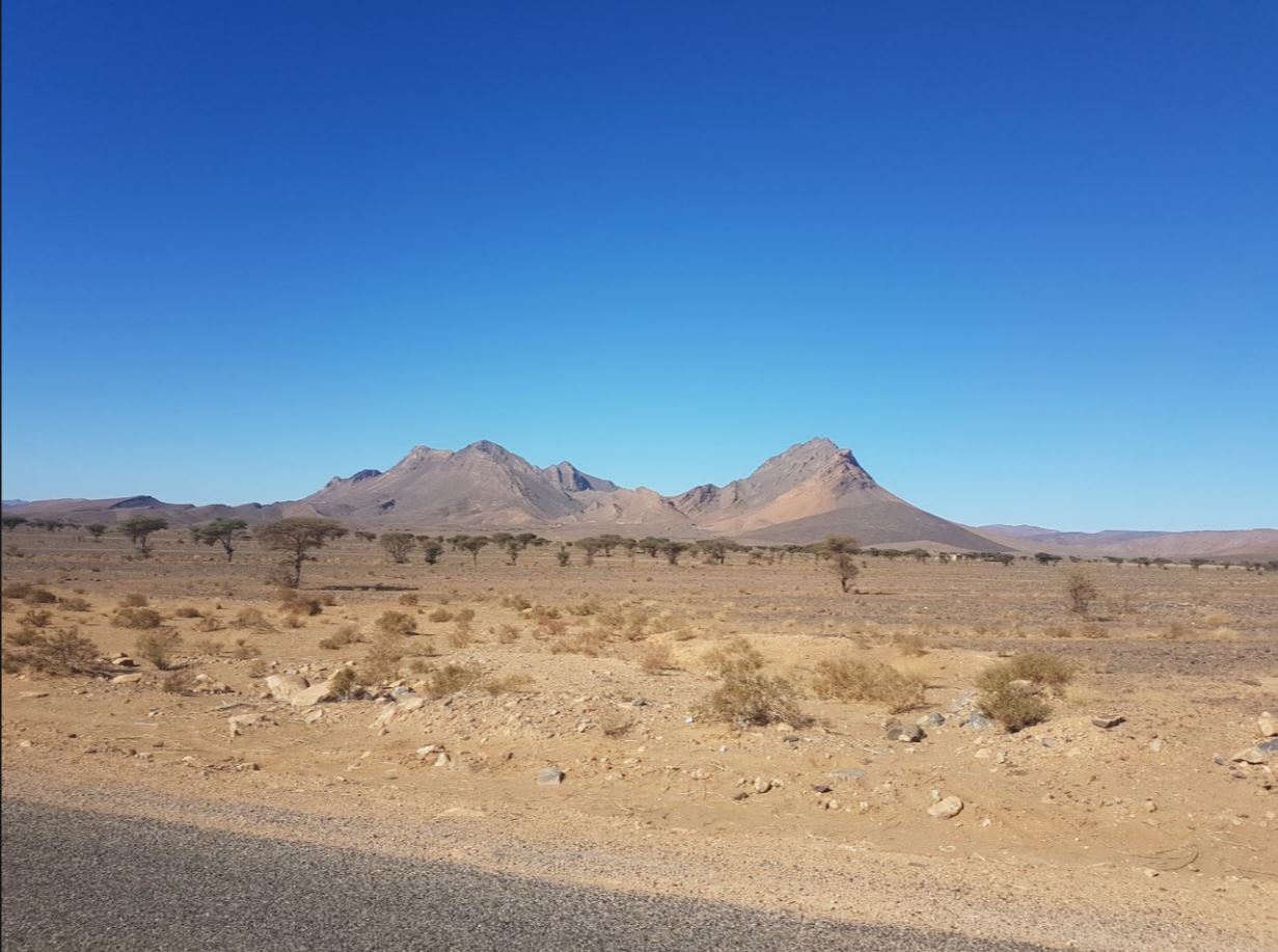 Landscape2