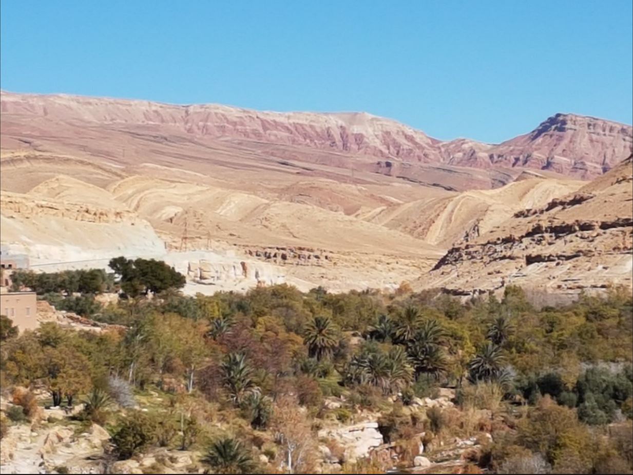 Barren