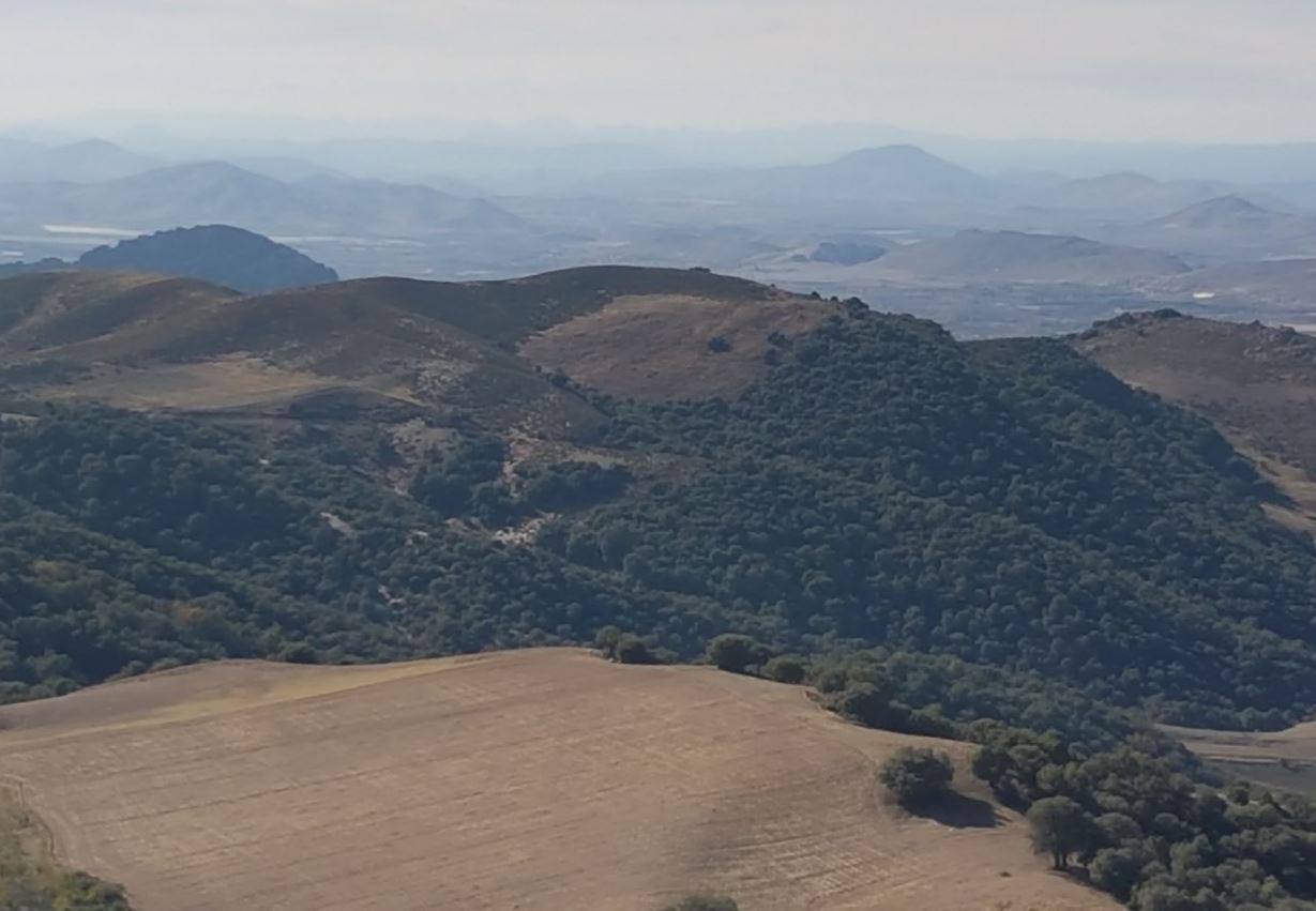 Mnts