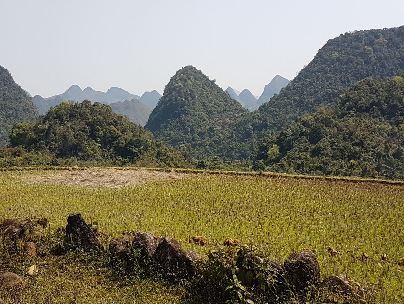 More peaks
