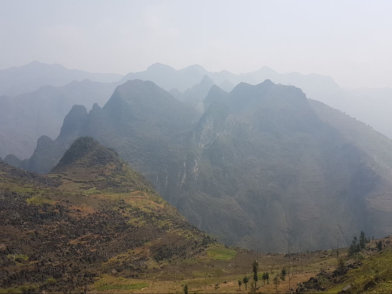 Mnts