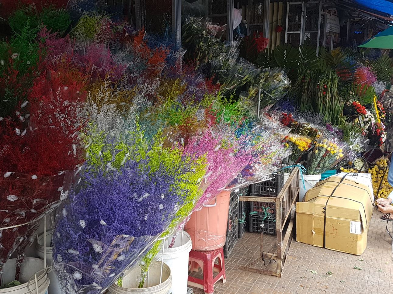 DaLat2