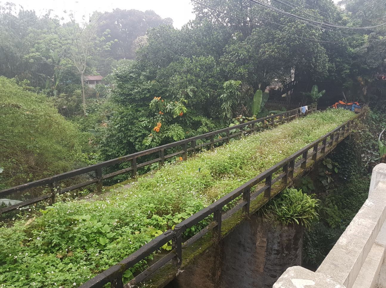 Old bridge