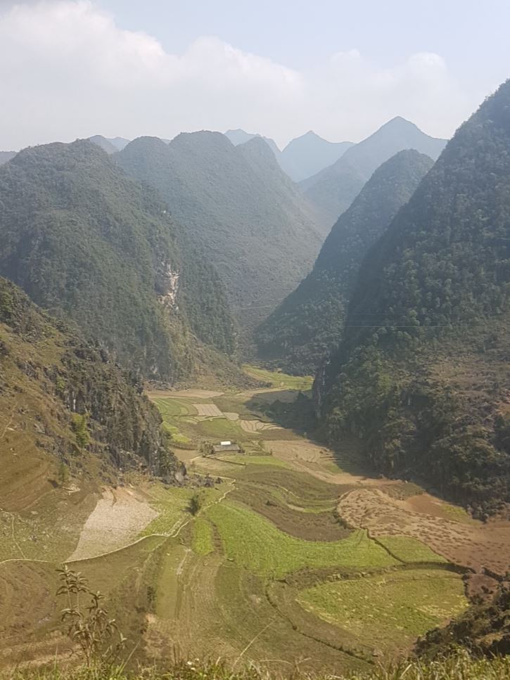 RiceFields
