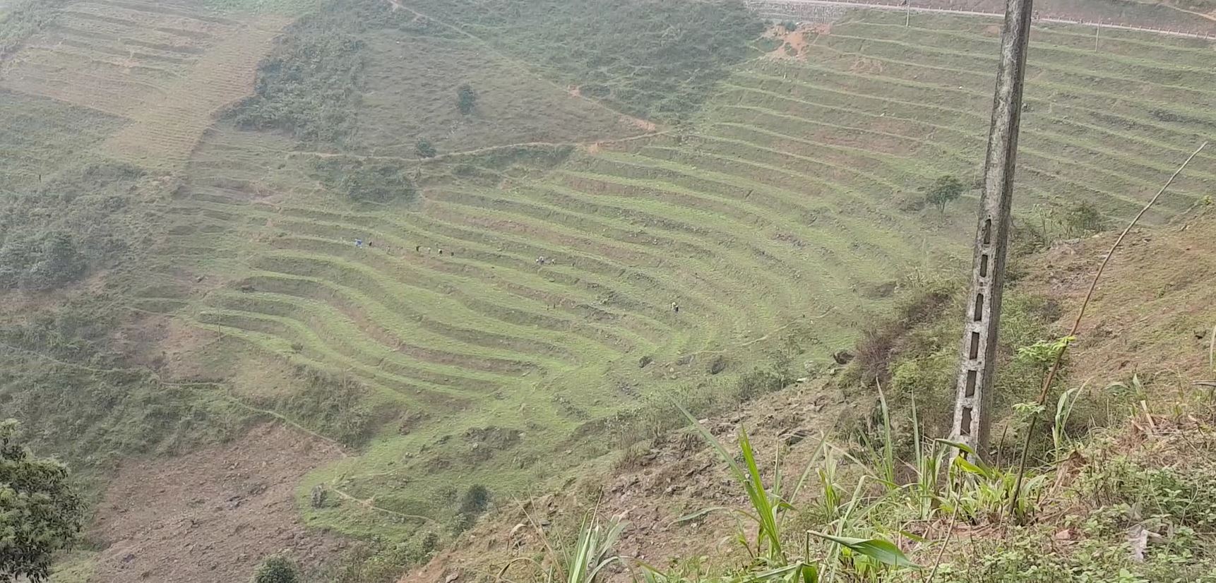 Terrace Farm.JPG