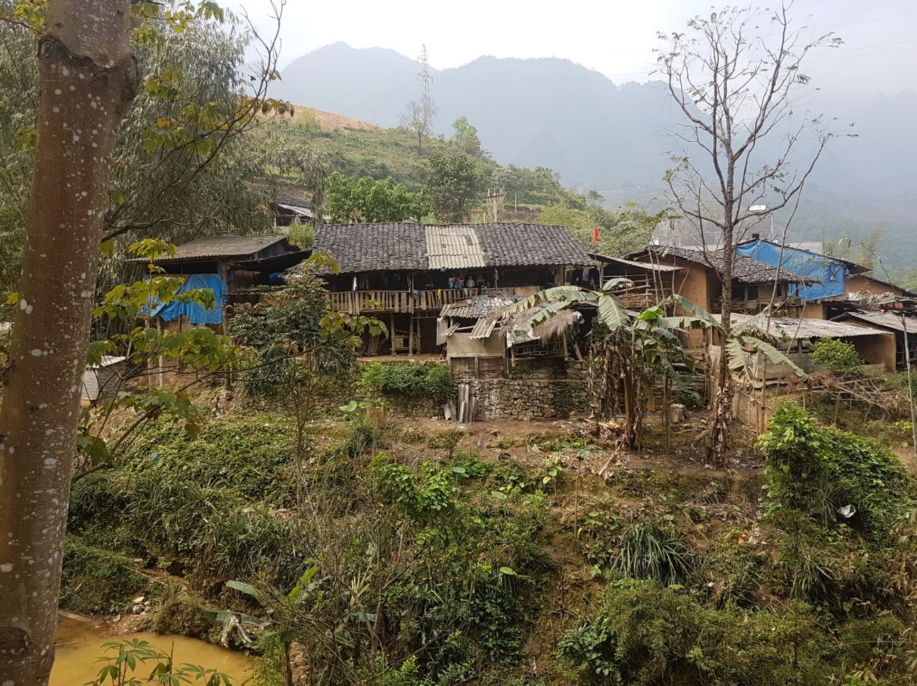 Village