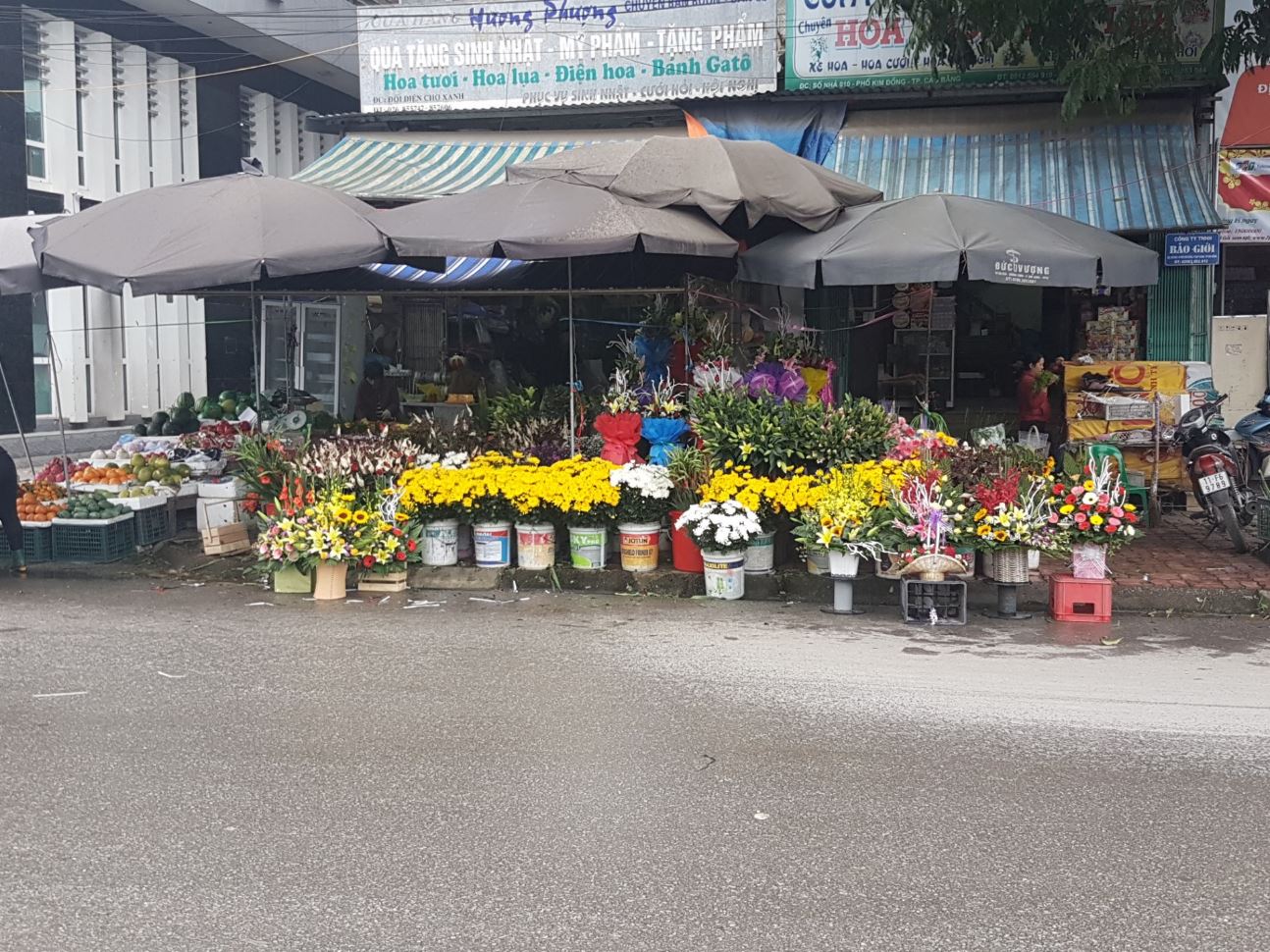 MoreFlowers