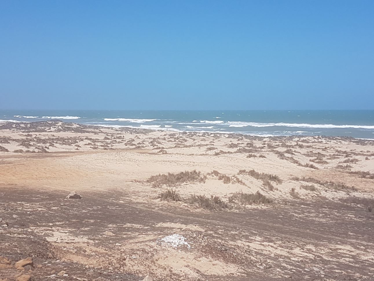Sea