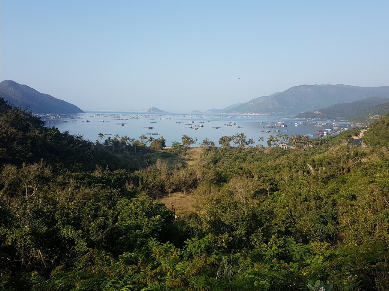 Bay
