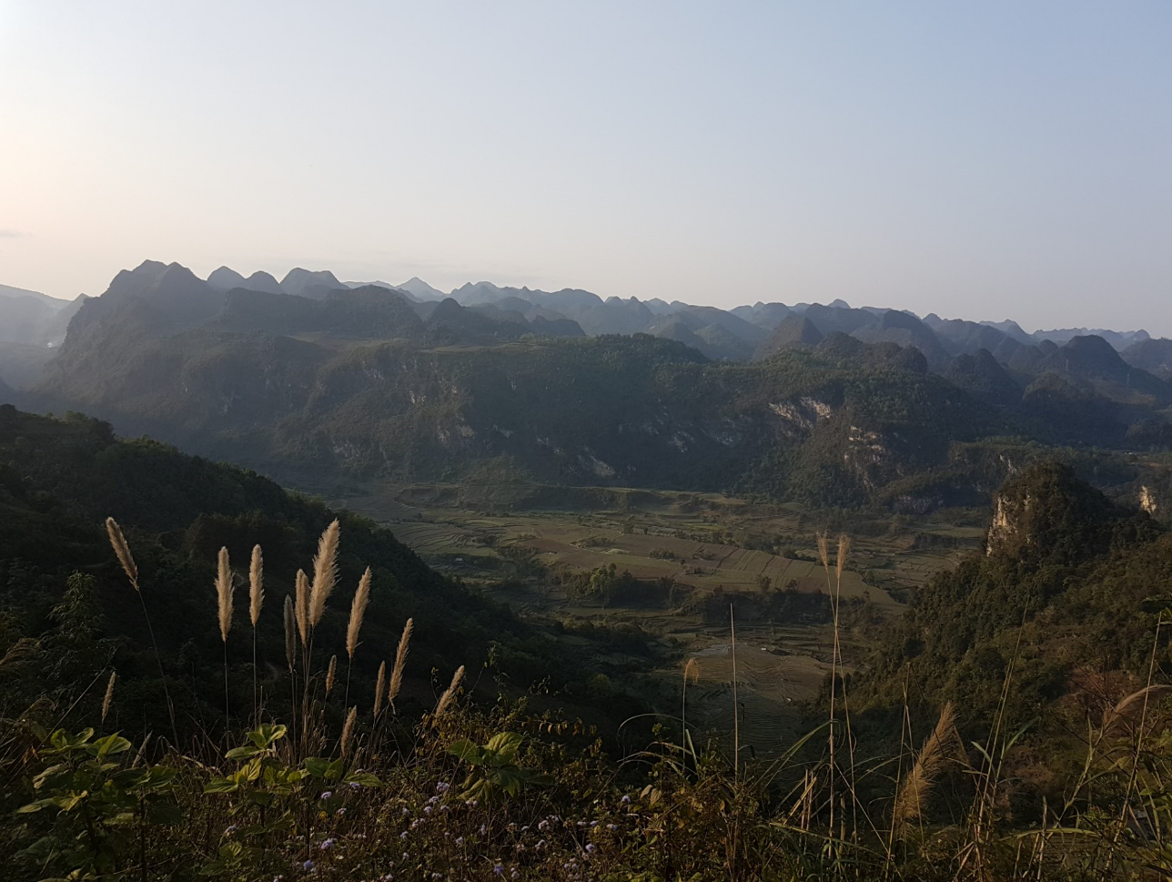 Peaks
