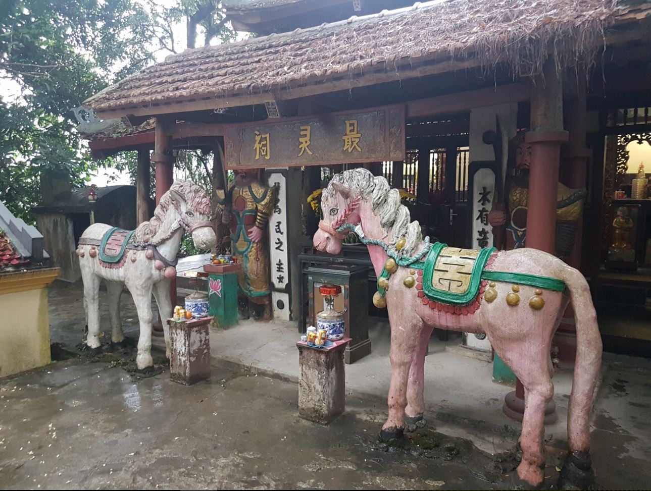 Horses
