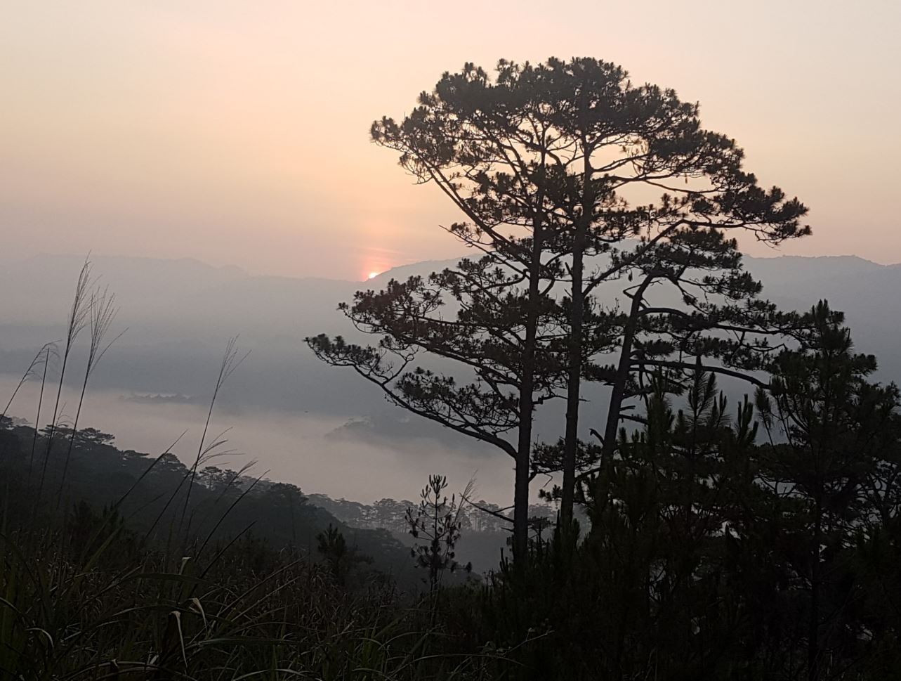 Sunrise3