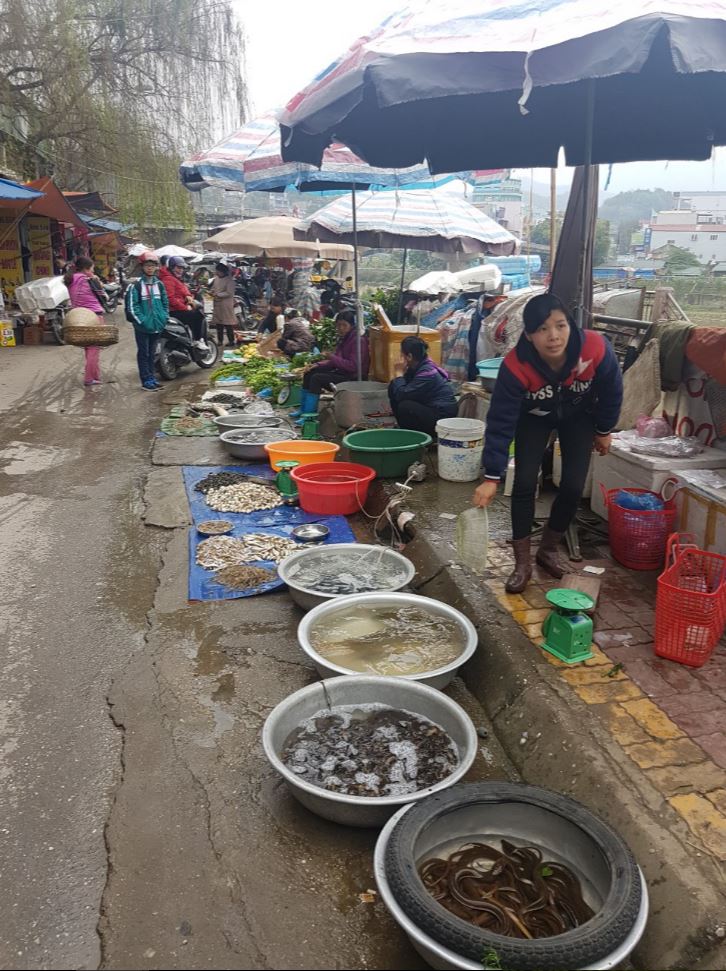 Fish Market