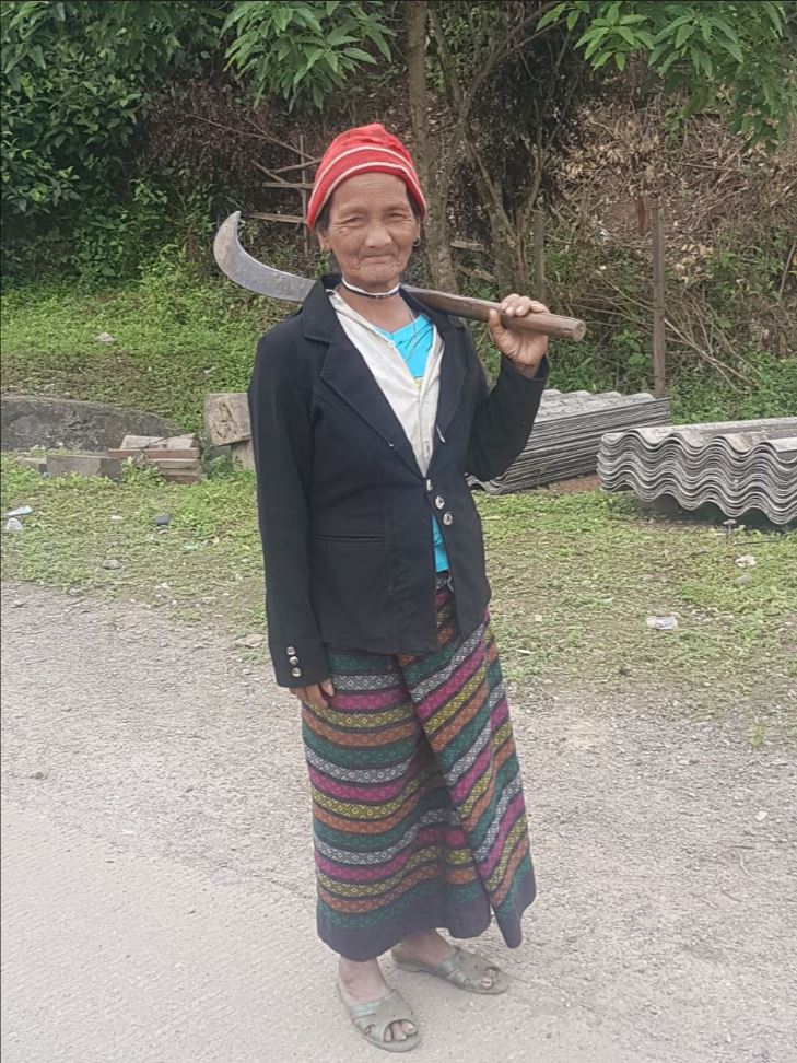 Lady