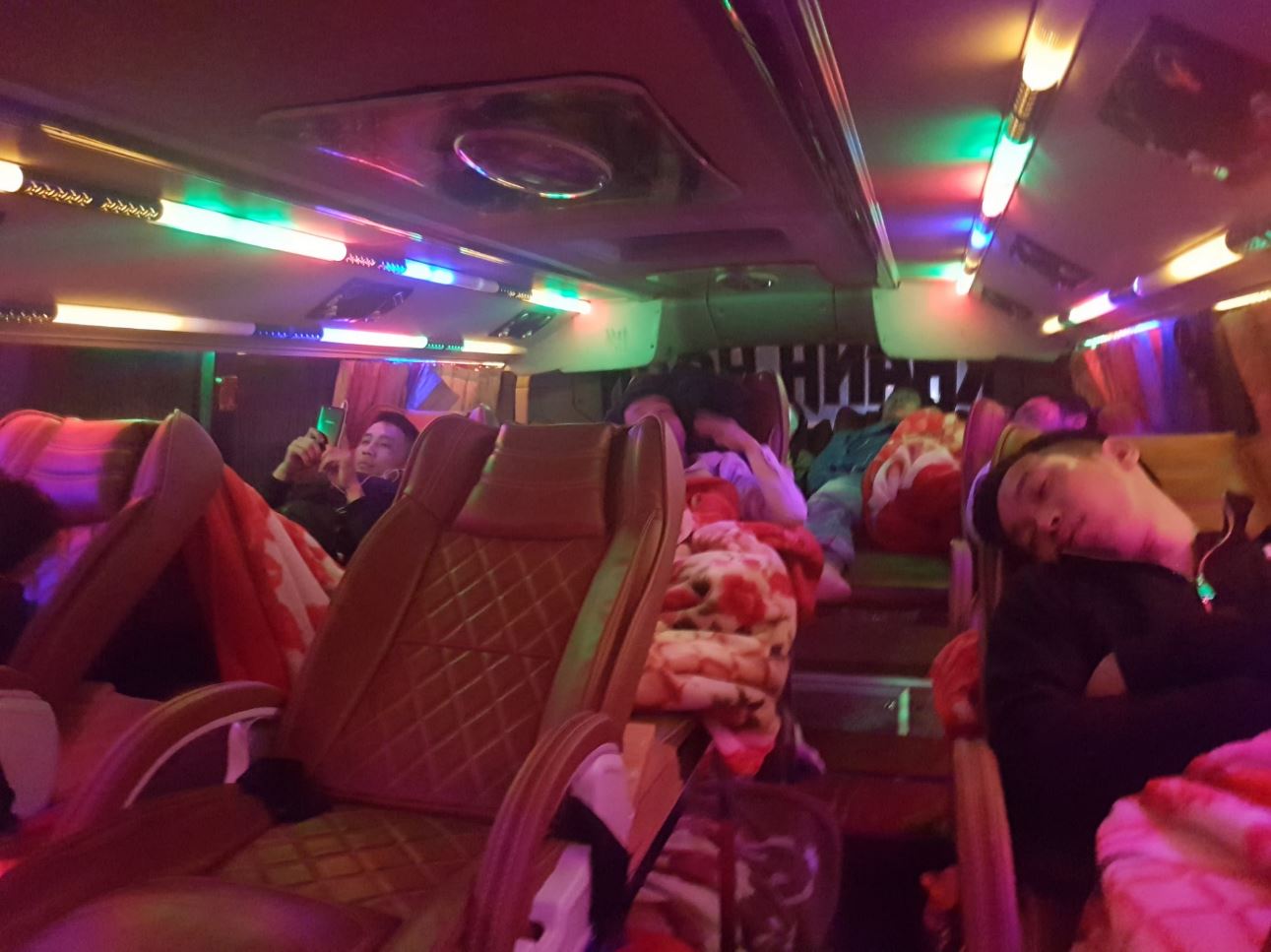 Bus back