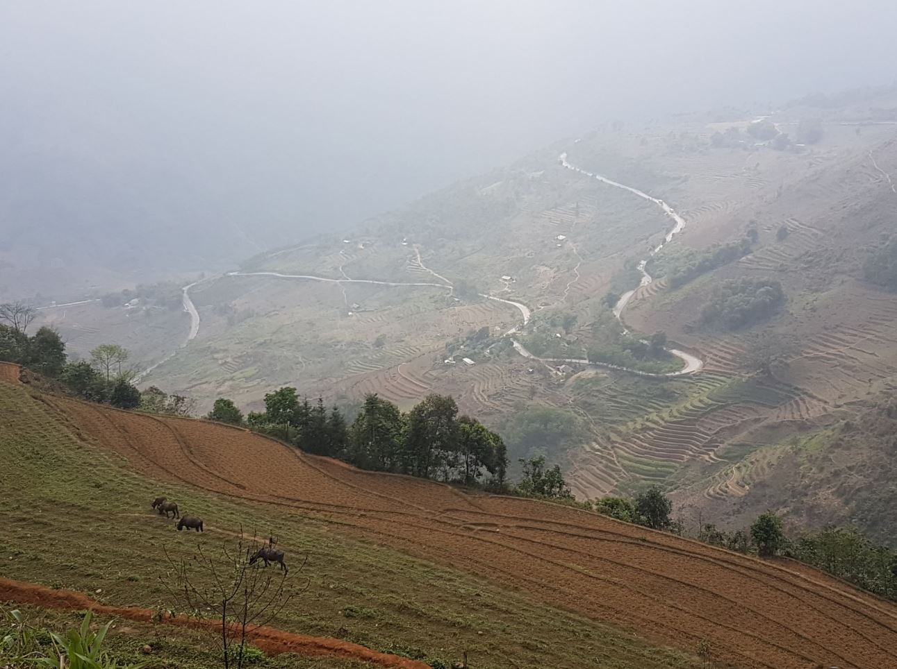 Road down