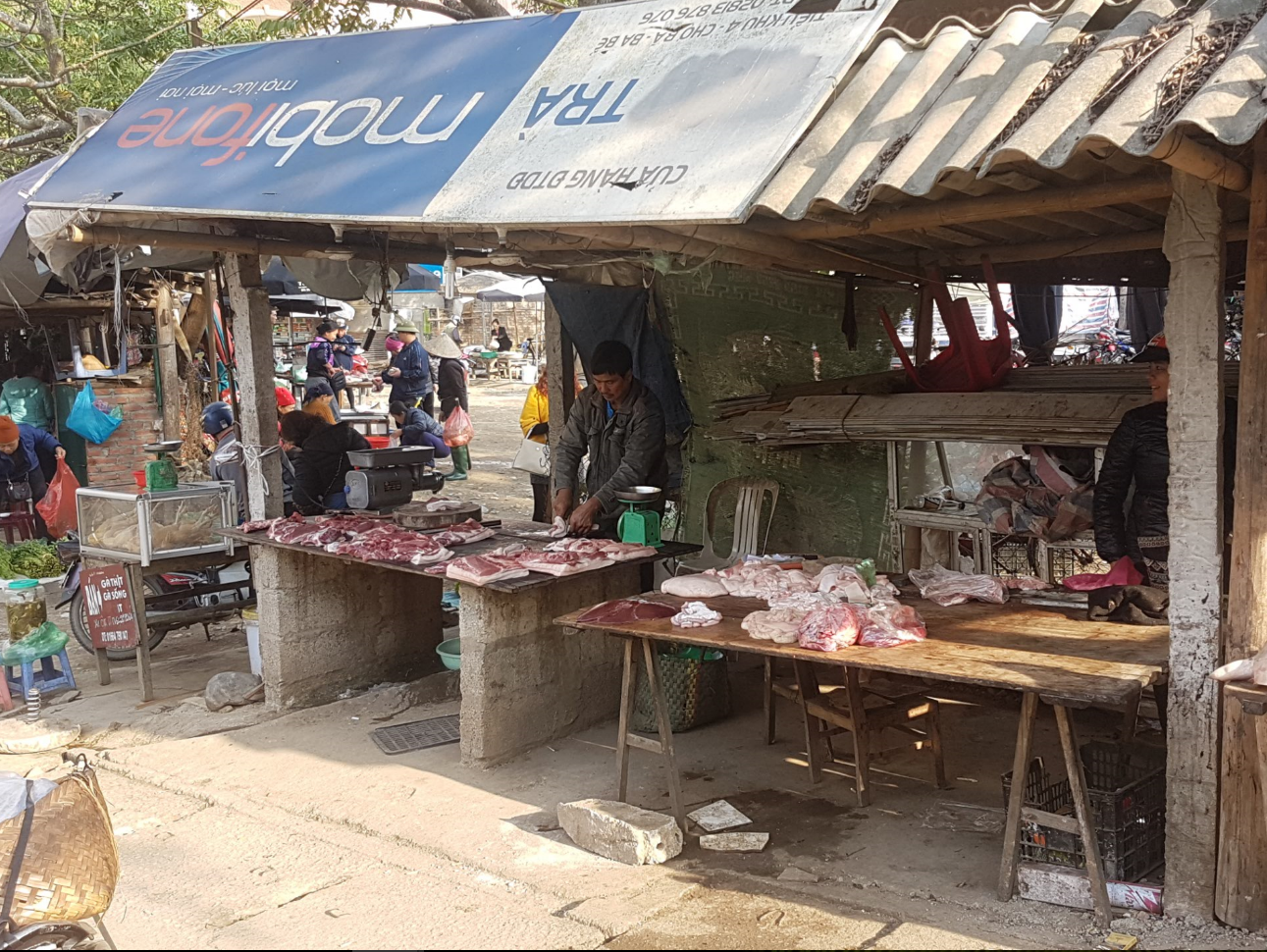 Meat