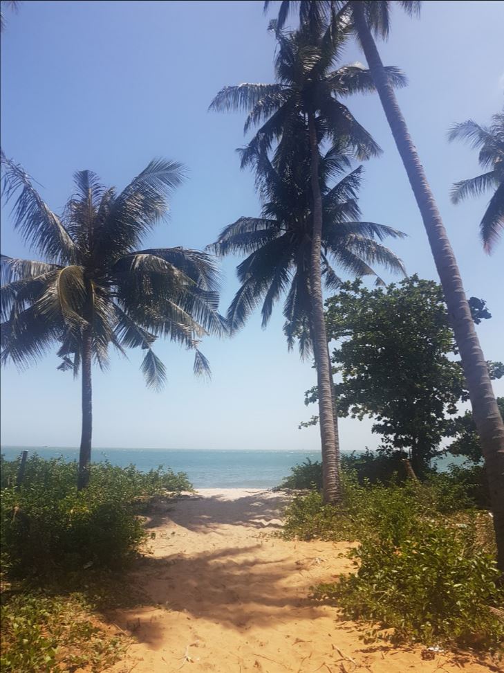 Beach77