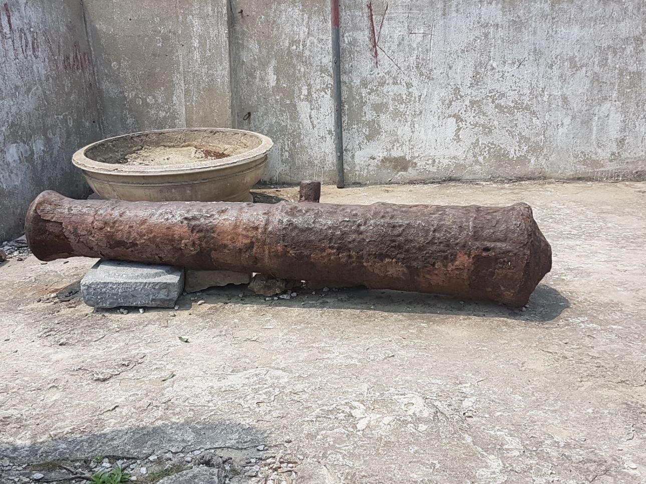 Cannon