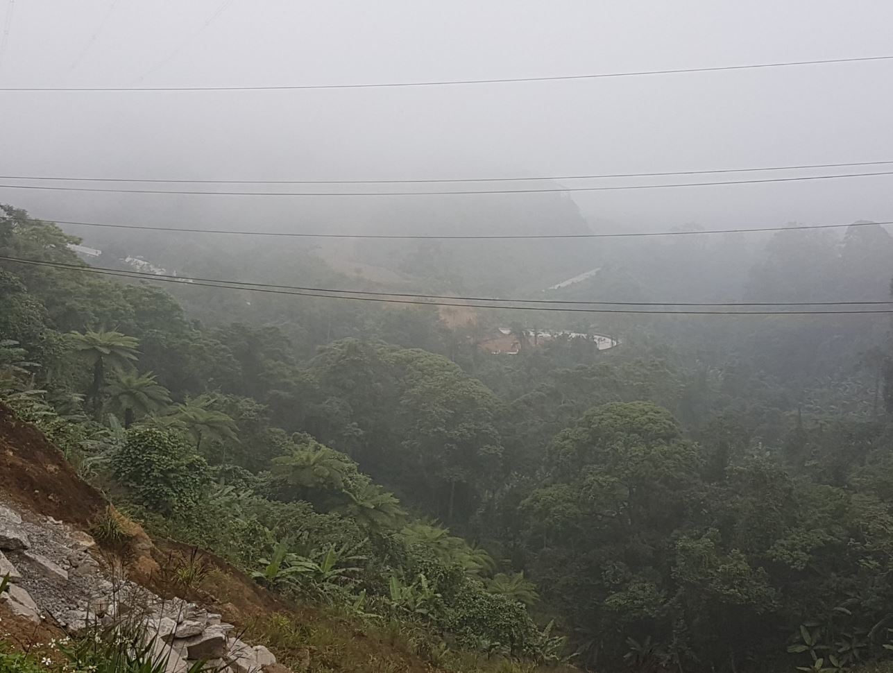 Road disappear