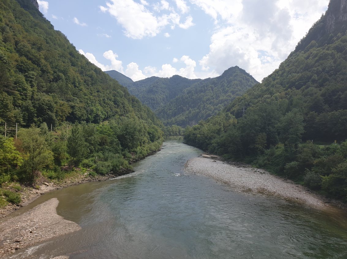 00e96-sava.png