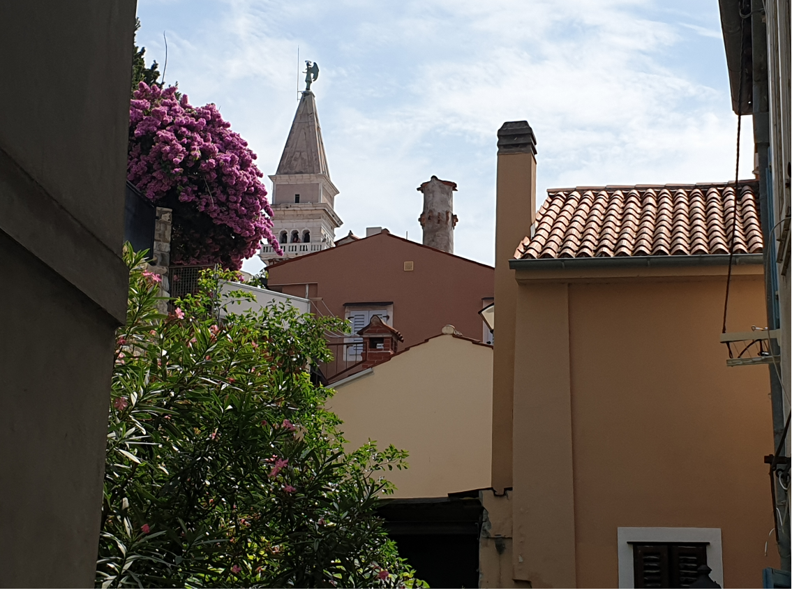 01323-piran6.png