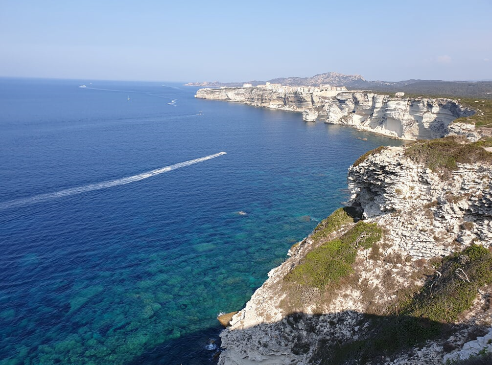 07d17-bonifacio2.png