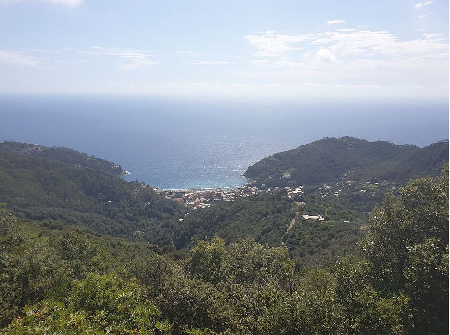 53a51-searoad1.jpg