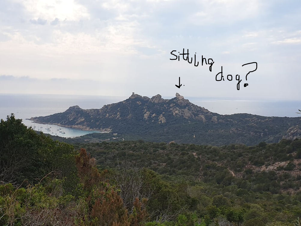 91494-sitting-dog.png