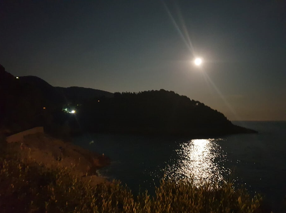 db388-lerici3.png