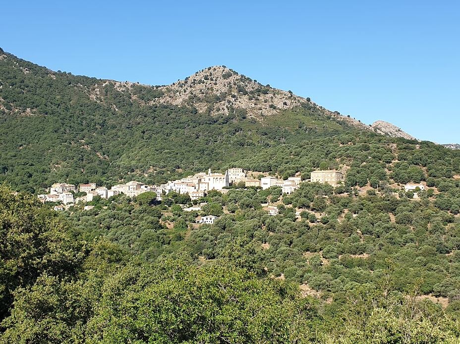dff4c-murato1.jpg