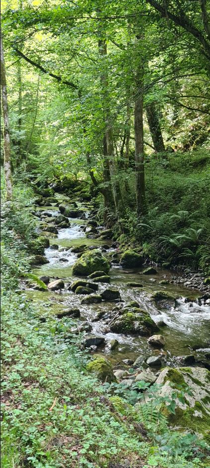 Riding next to a small creek