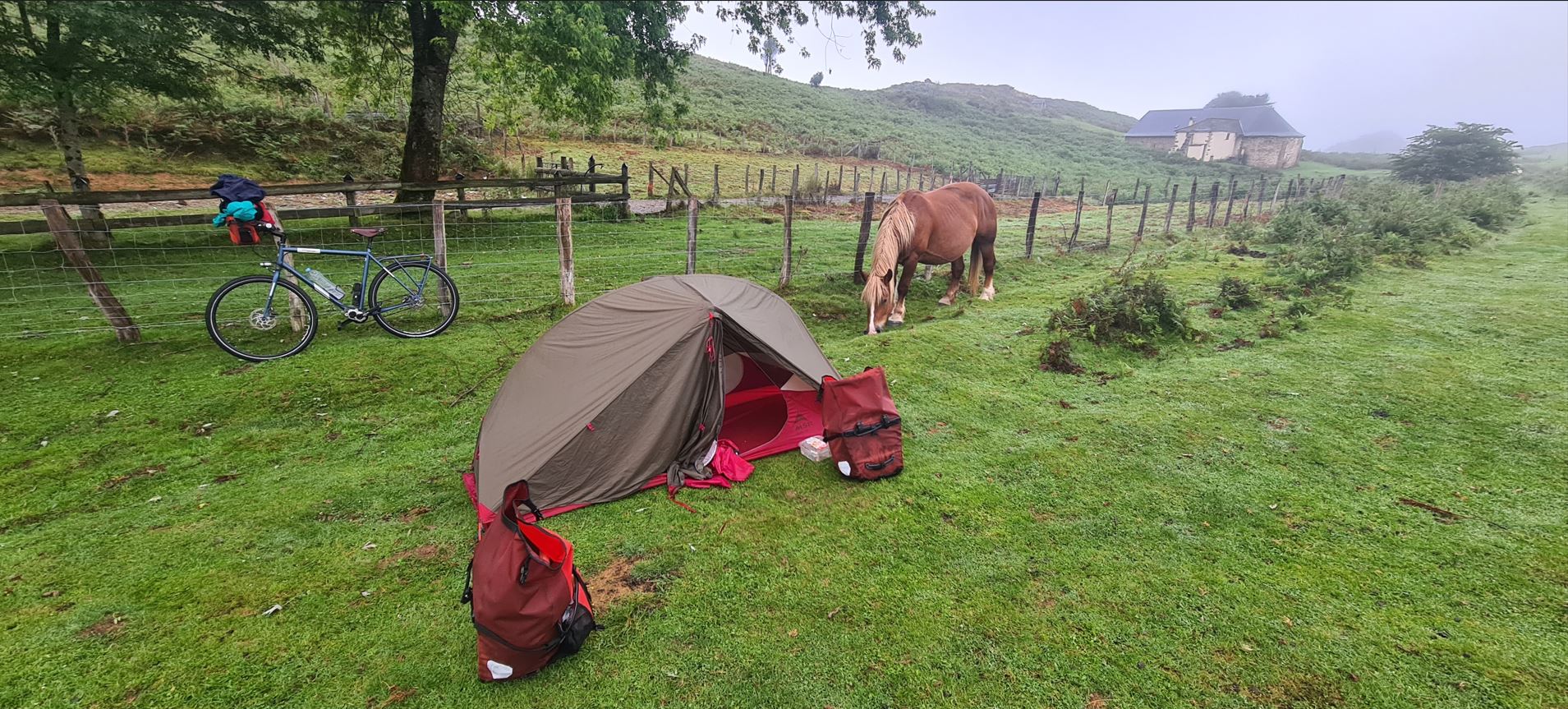 eee46-horse4.jpg